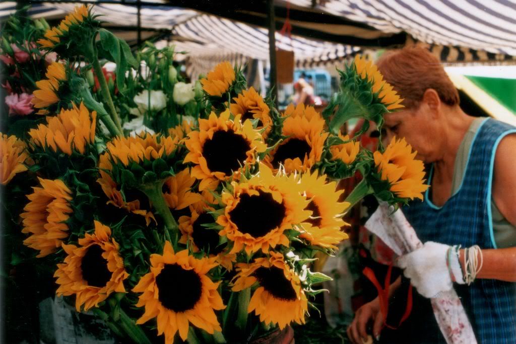 girasoles.jpg
