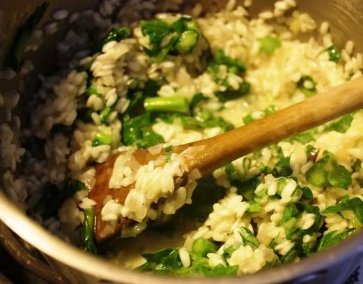 Broccoli Risotto