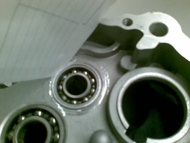 YX160 Motor - How Do You Tell | PlanetMinis Forums