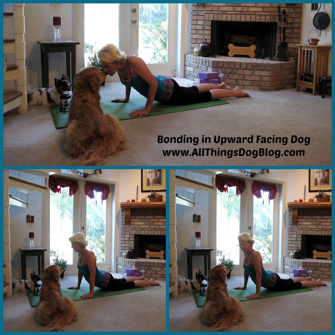 Upward Dog Bonding w/text photo UpwardDogCollageTEXT_zpsea8c3d93.jpg