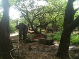 elephant stable 1