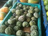 custard apples