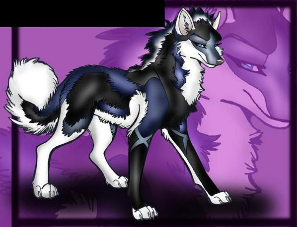 anime wolf images