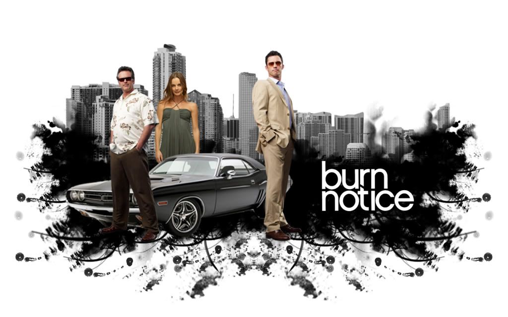 Burn_Notice_Wallpaper_burn_notice_5410456_1440_900_Epic_Wallpaper_Collection-s1440x900-153497.jpg
