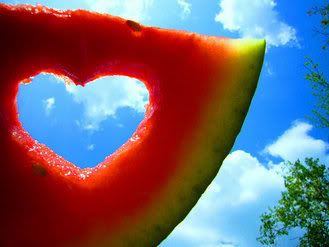 watermelon,photography,summer,love