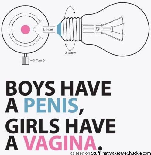 penis vagina lightbulbjpg Light Bulb Penis Vagina